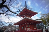 c0051032_159342.jpg