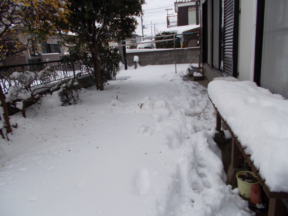 e0166032_20110770.jpg