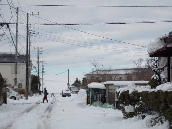 e0166032_20120474.jpg