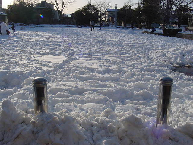 a0315936_16451239.jpg