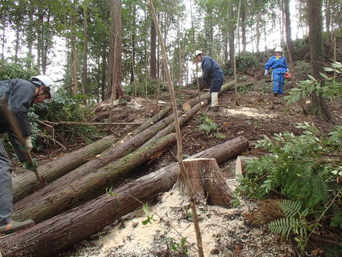 f0187336_12583.jpg