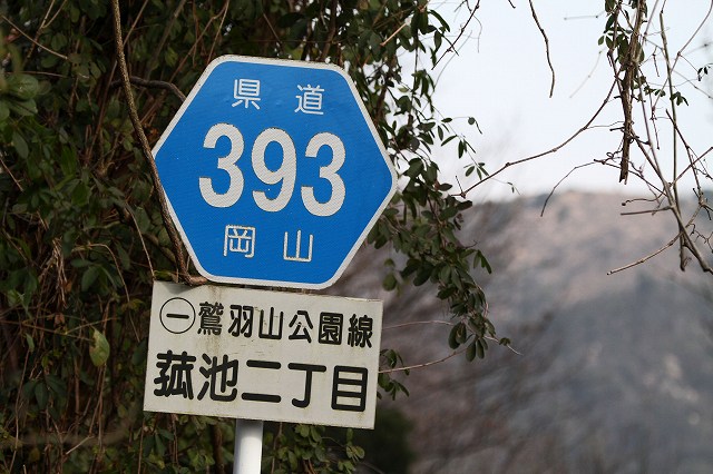 a0242438_753797.jpg