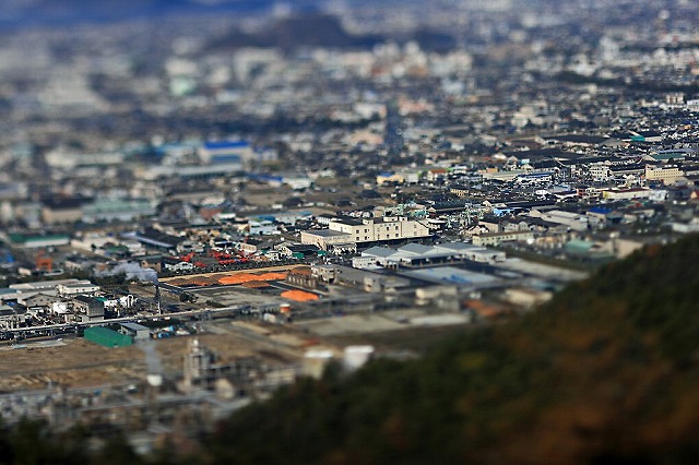 a0242438_757226.jpg