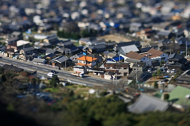 a0242438_757514.jpg