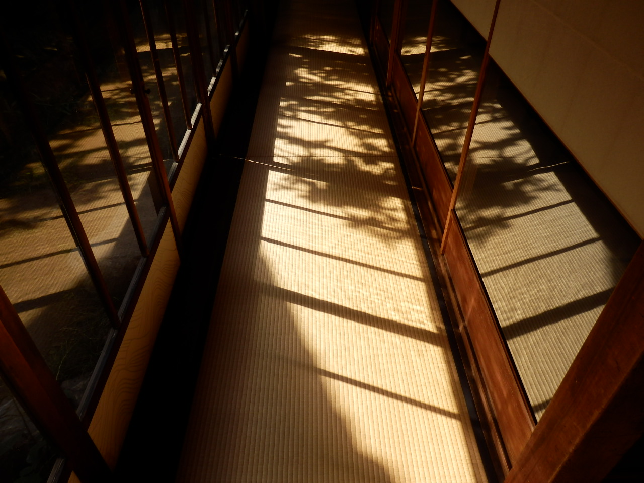 a0279738_1685414.jpg