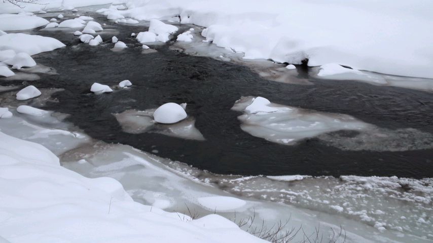 f0056038_10554398.jpg