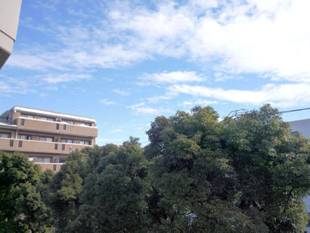 d0039443_16435724.jpg