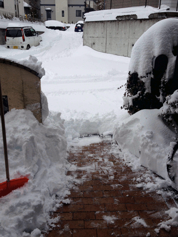 a0026445_21113495.gif