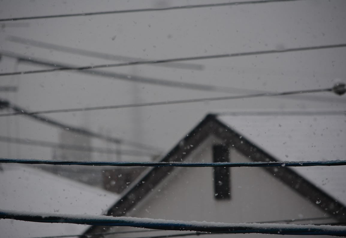 a0055650_40229.jpg