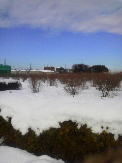 b0077451_2074126.jpg