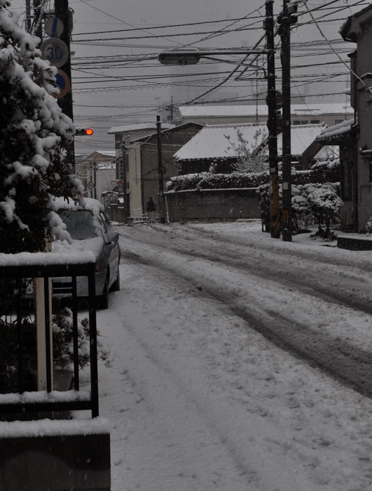 a0284558_1741949.gif