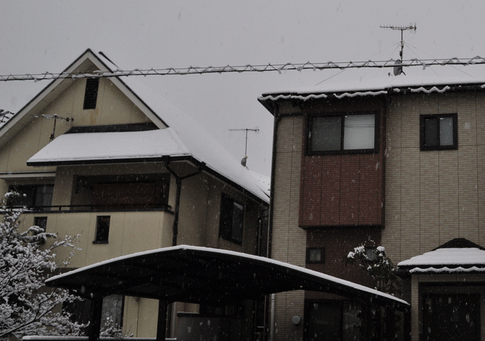 a0284558_174534.gif