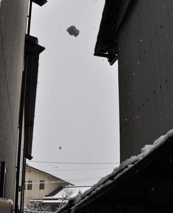 a0284558_1752859.gif