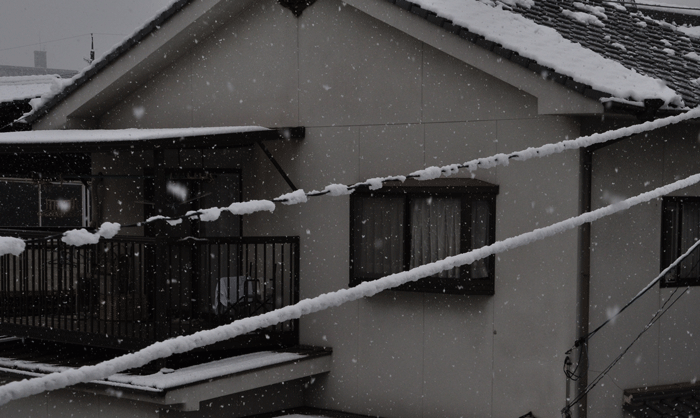 a0284558_1755798.gif