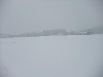 f0186462_145330.jpg