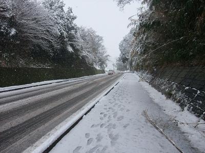 f0186462_164488.jpg