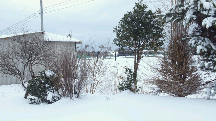 a0267766_1257397.jpg