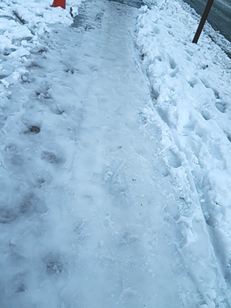 f0000673_21463073.jpg