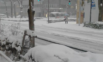 f0140174_12731.jpg
