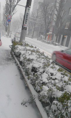 f0140174_1291526.jpg