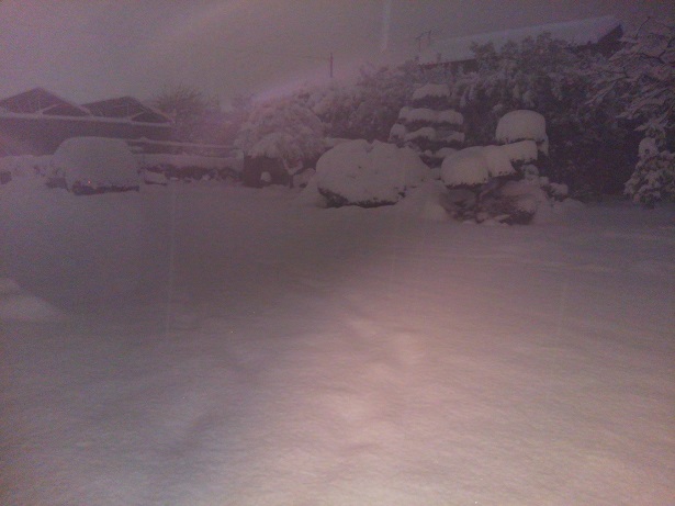 d0038975_16150578.jpg