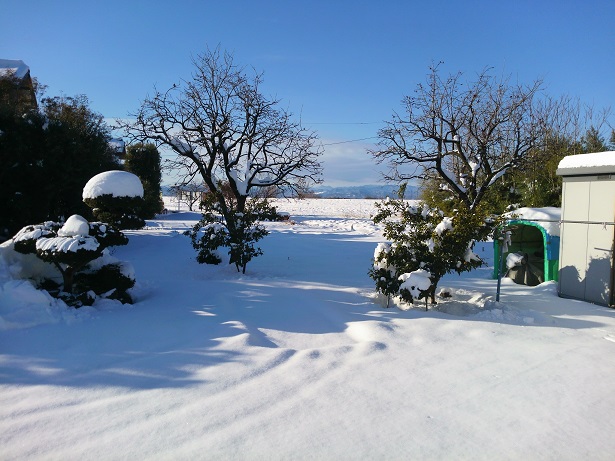 d0038975_16154407.jpg
