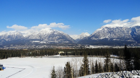 a0047577_1654519.jpg