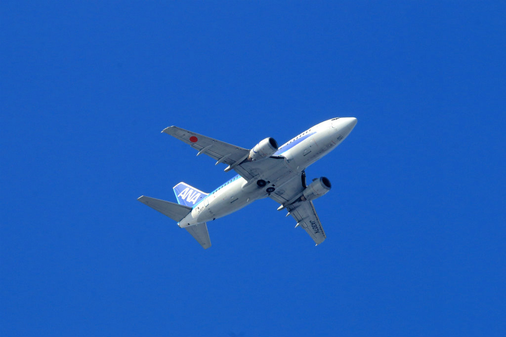 e0149577_012490.jpg
