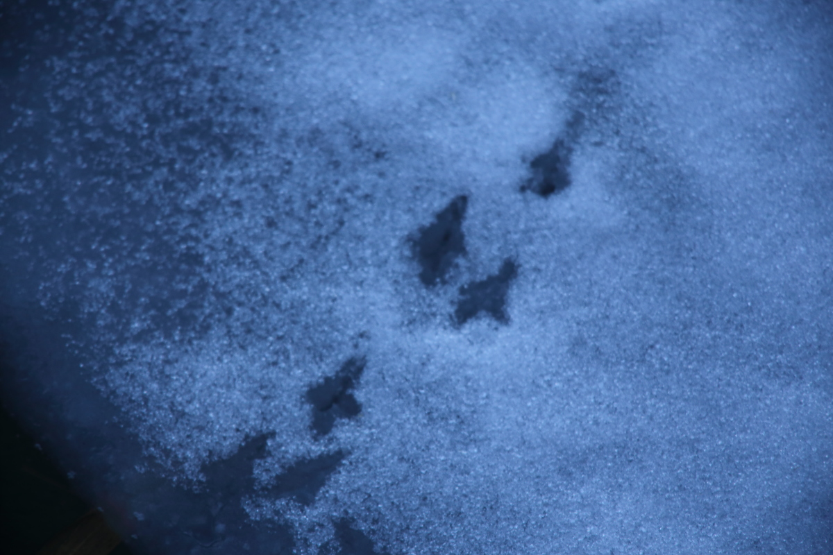 e0249878_2145367.jpg