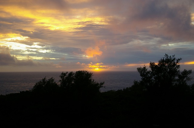 f0168478_2358134.jpg
