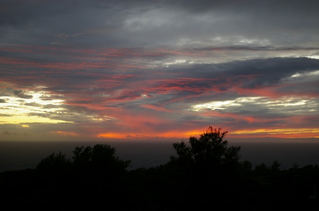 f0168478_23584278.jpg