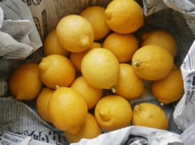 f0007580_22545612.jpg