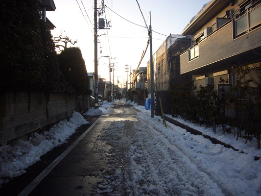a0141884_1719469.jpg