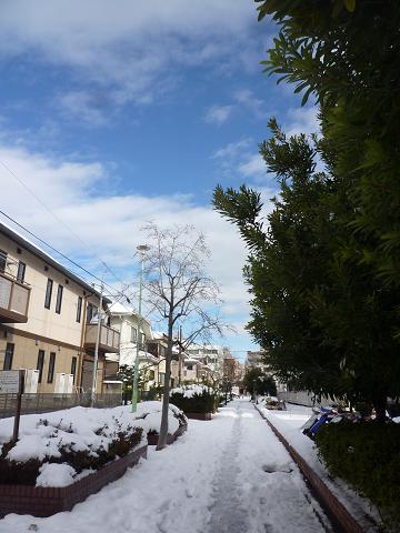 c0123890_20295475.jpg
