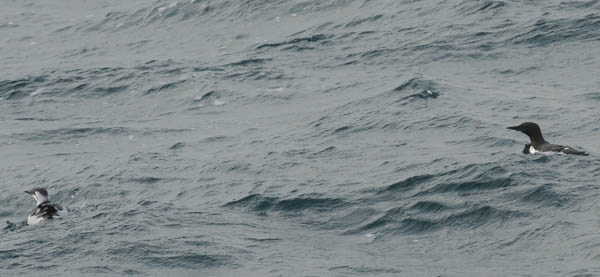 f0159390_16264181.jpg