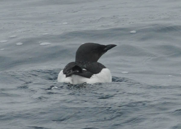 f0159390_16273669.jpg