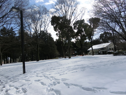 a0319693_16335559.jpg