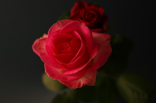 b0119493_233720100.jpg