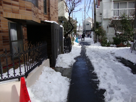c0322794_11462370.jpg