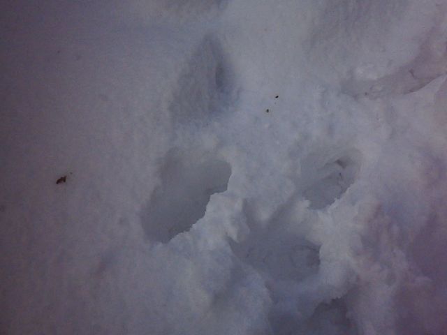 f0130894_1740666.jpg