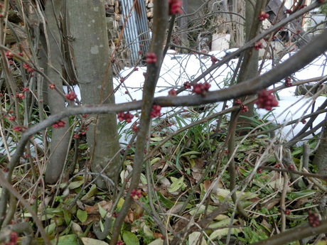 a0203003_16283449.jpg