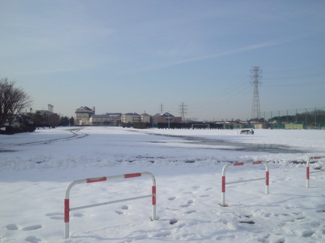 a0185007_20010767.jpg