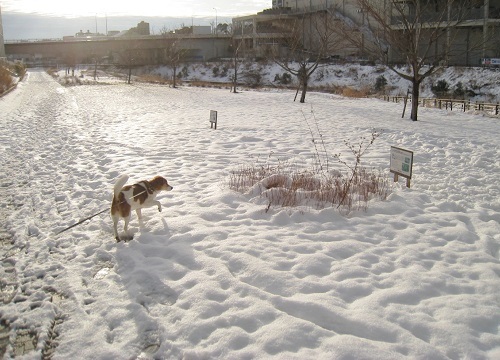 c0084117_17562146.jpg