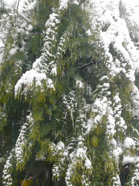 e0026017_13574770.jpg