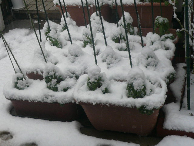e0026017_13581641.jpg