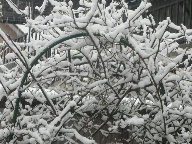 e0026017_13584048.jpg