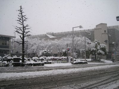 f0158625_13510364.jpg