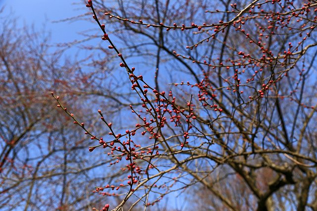 a0242438_19565773.jpg
