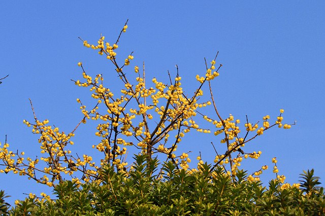 a0242438_1958654.jpg