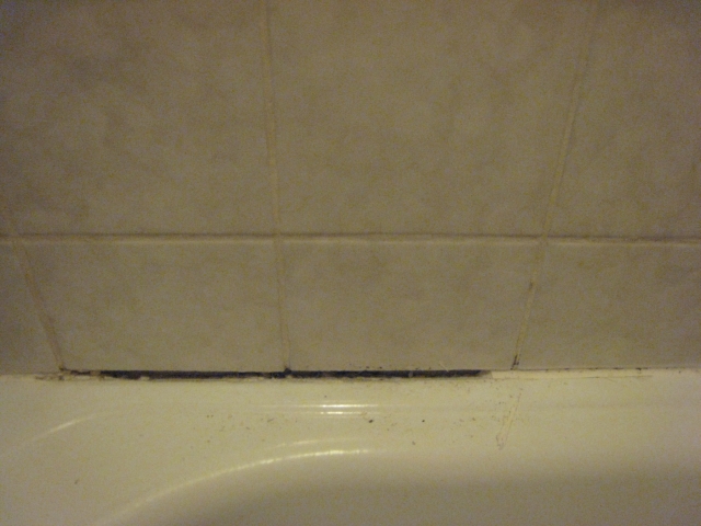 c0212741_1728657.jpg